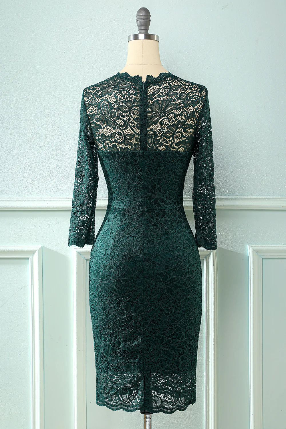 Lace Bodycon formal Dress