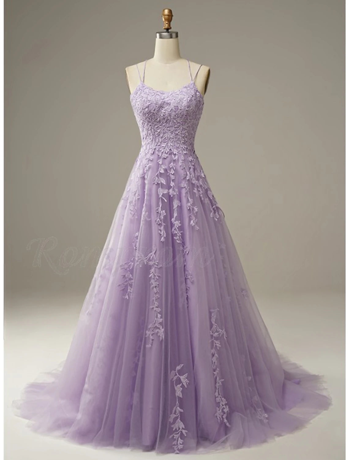 A-Line Prom Dresses Floral Dress Formal Wedding Guest Chapel Train Sleeveless Spaghetti Strap Tulle with Appliques