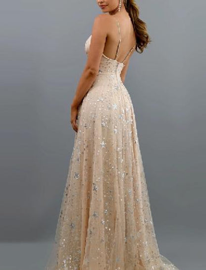 A-Line Prom Dresses Sparkle Dress Homecoming Party Wear Floor Length Sleeveless V Neck Tulle with Sequin Tiered